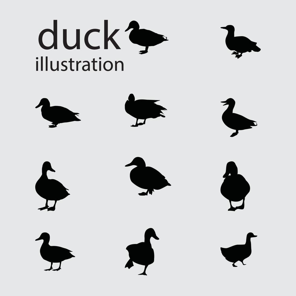 Silhouette Duck Set Illustration Vectors