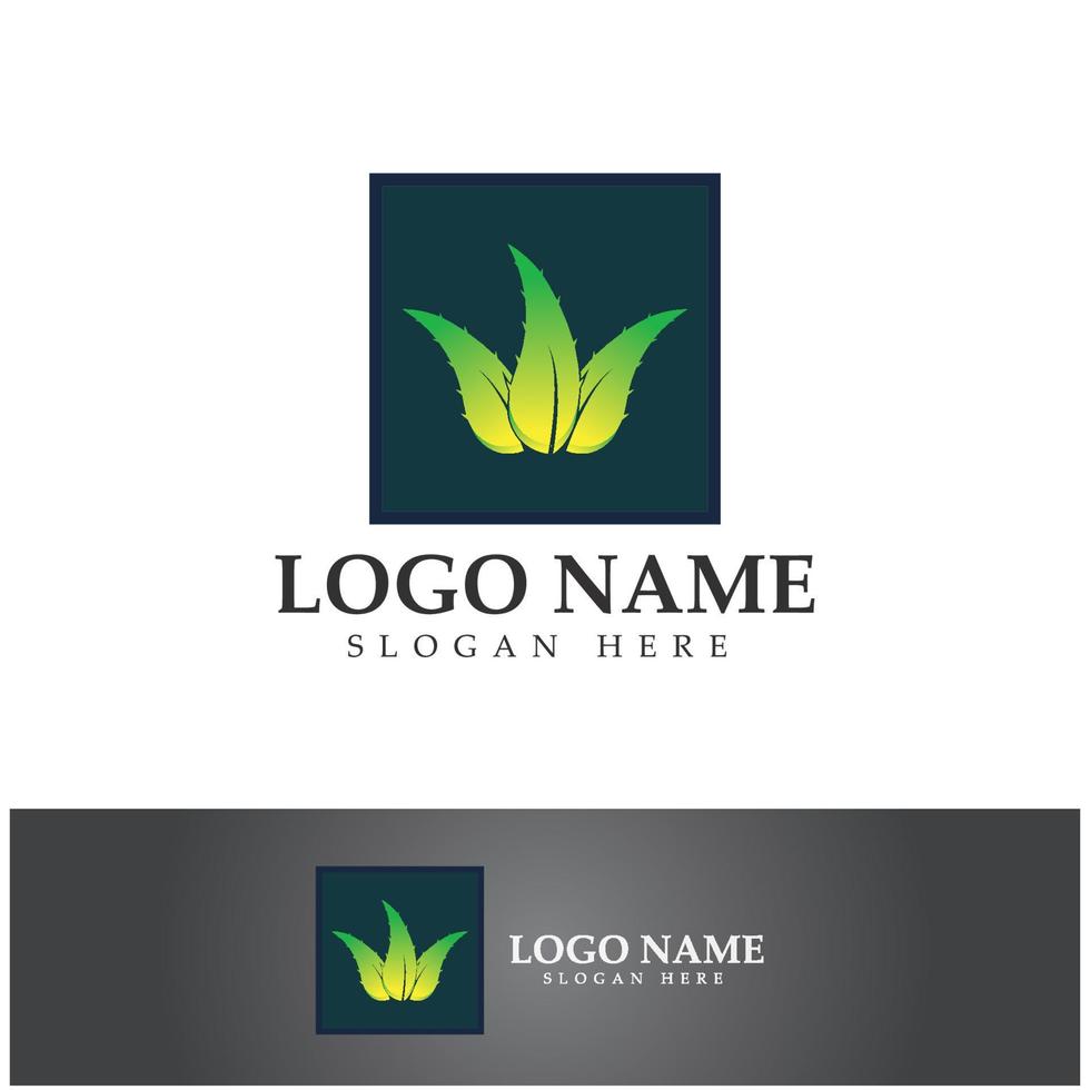 aloe vera logo icon illustration vector