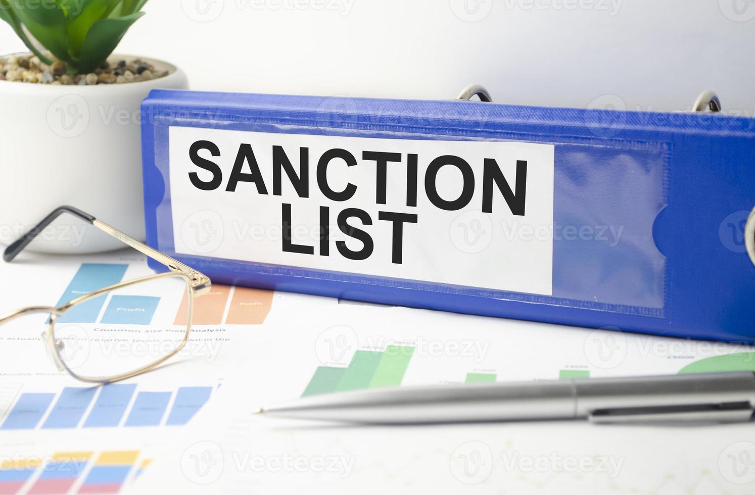 sanction list words on blue folder and charts photo