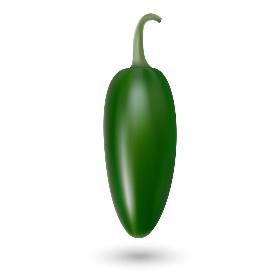 natural hoti pepper vector