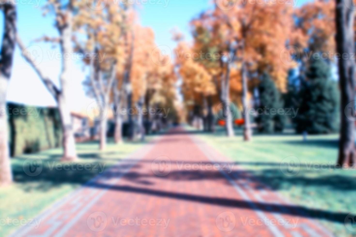 coloured trees in park blurred background, copy space photo