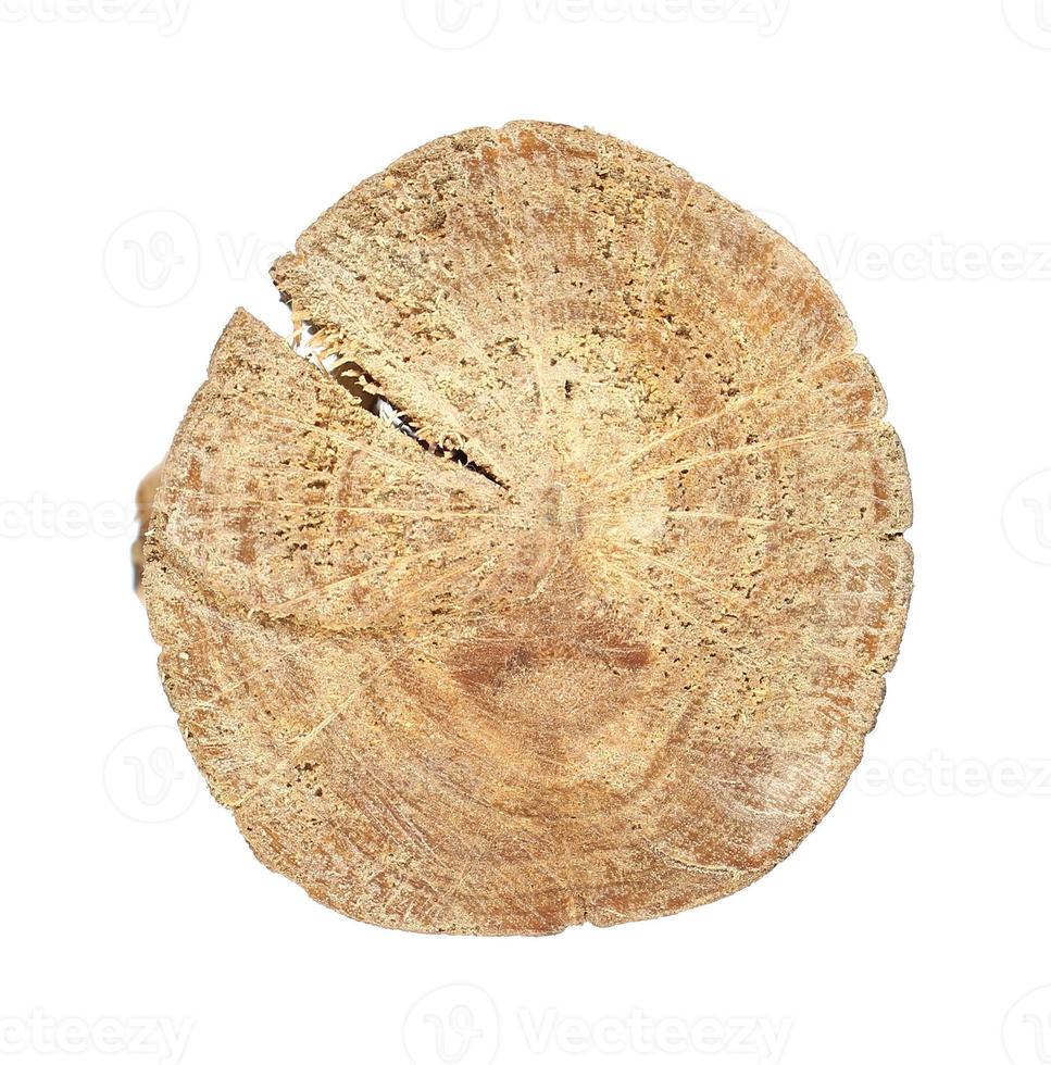 A cutting board made of cross-sectional wood isolated on white background photo