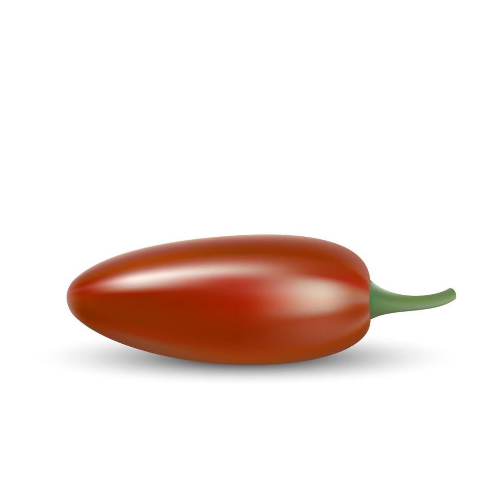 pimiento picante natural vector