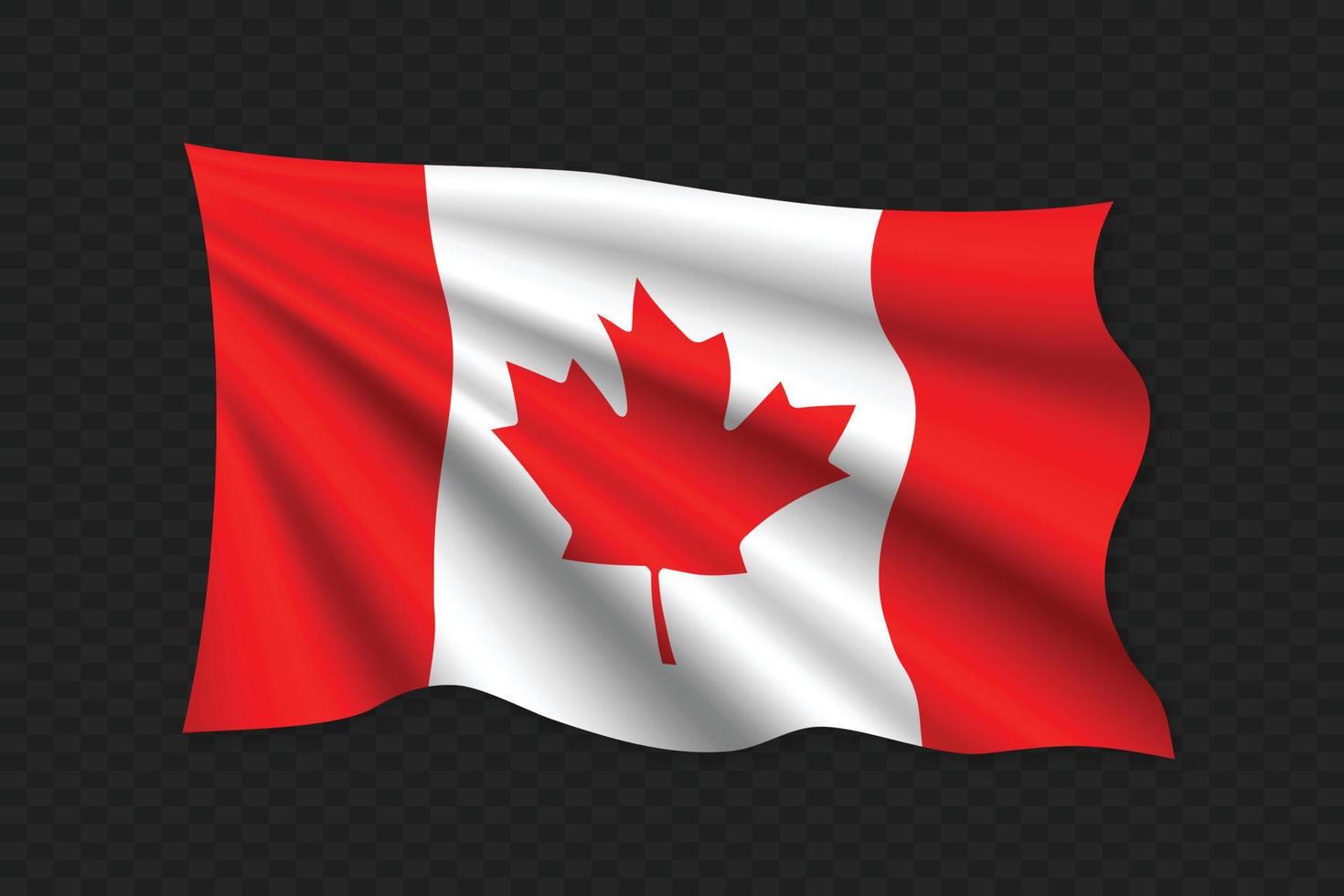 3D Waving Flag vector