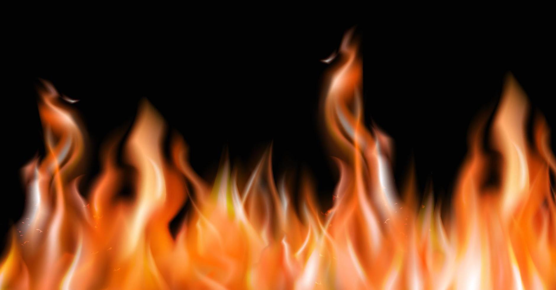 fire flames Burning red hot sparks realistic abstract background vector