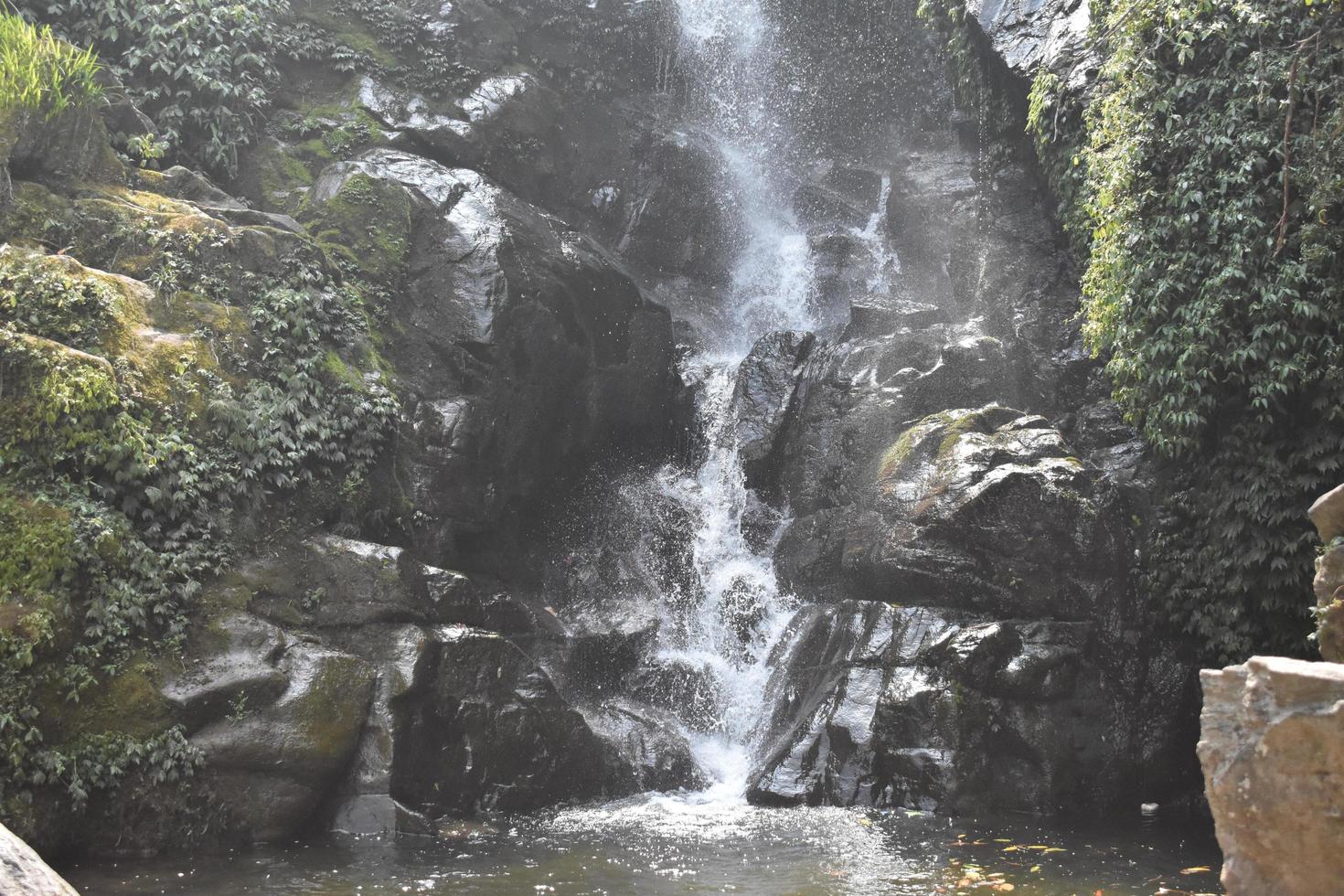 Beautiful shot of water fall photo