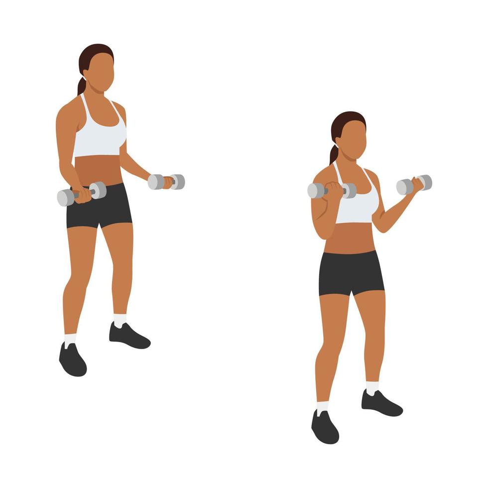 Woman doing Bicep curl exercise. Flat vector illustration isolated on white background