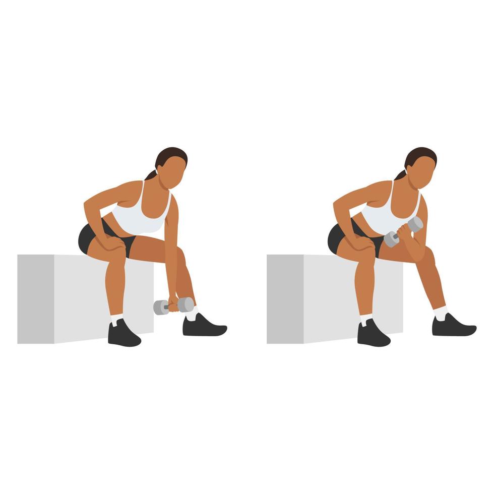 Woman doing Concentration curl exercise. Flat vector illustration isolated on white background