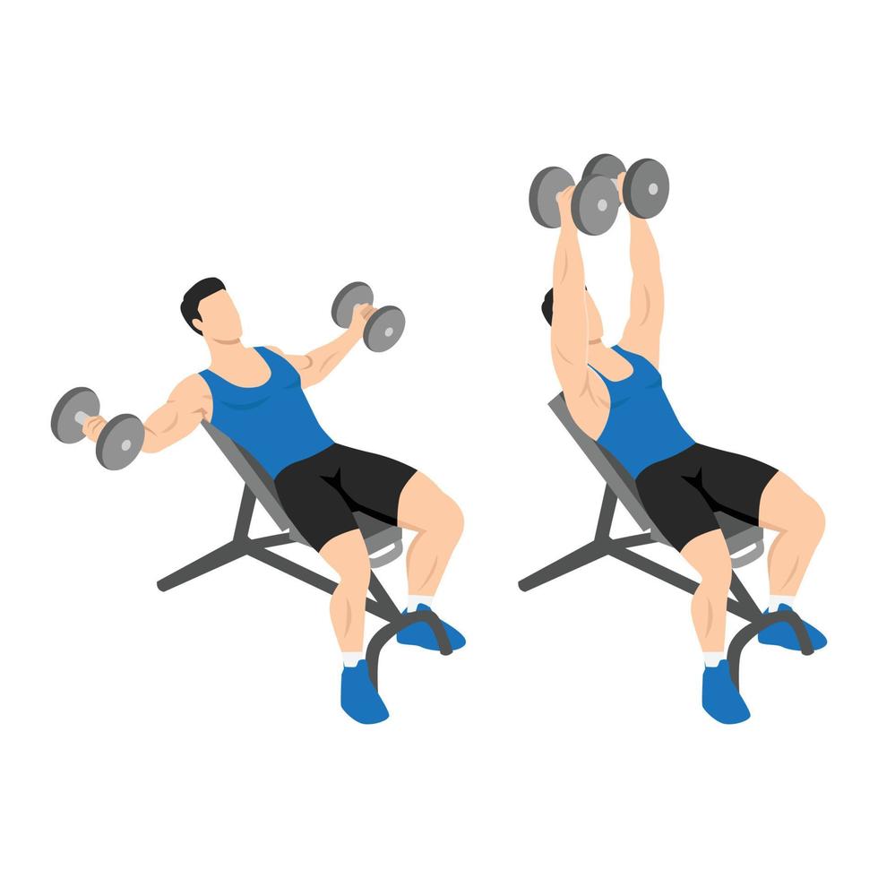 Man doing Incline dumbbell fly exercise. Flat vector illustration isolated on white background