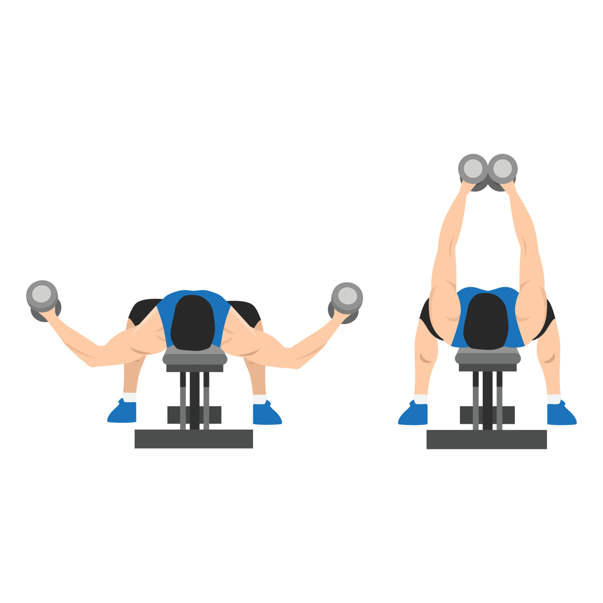 Man doing Flat bench dumbbell fly exercise. top view. Flat vector illustration isolated on white