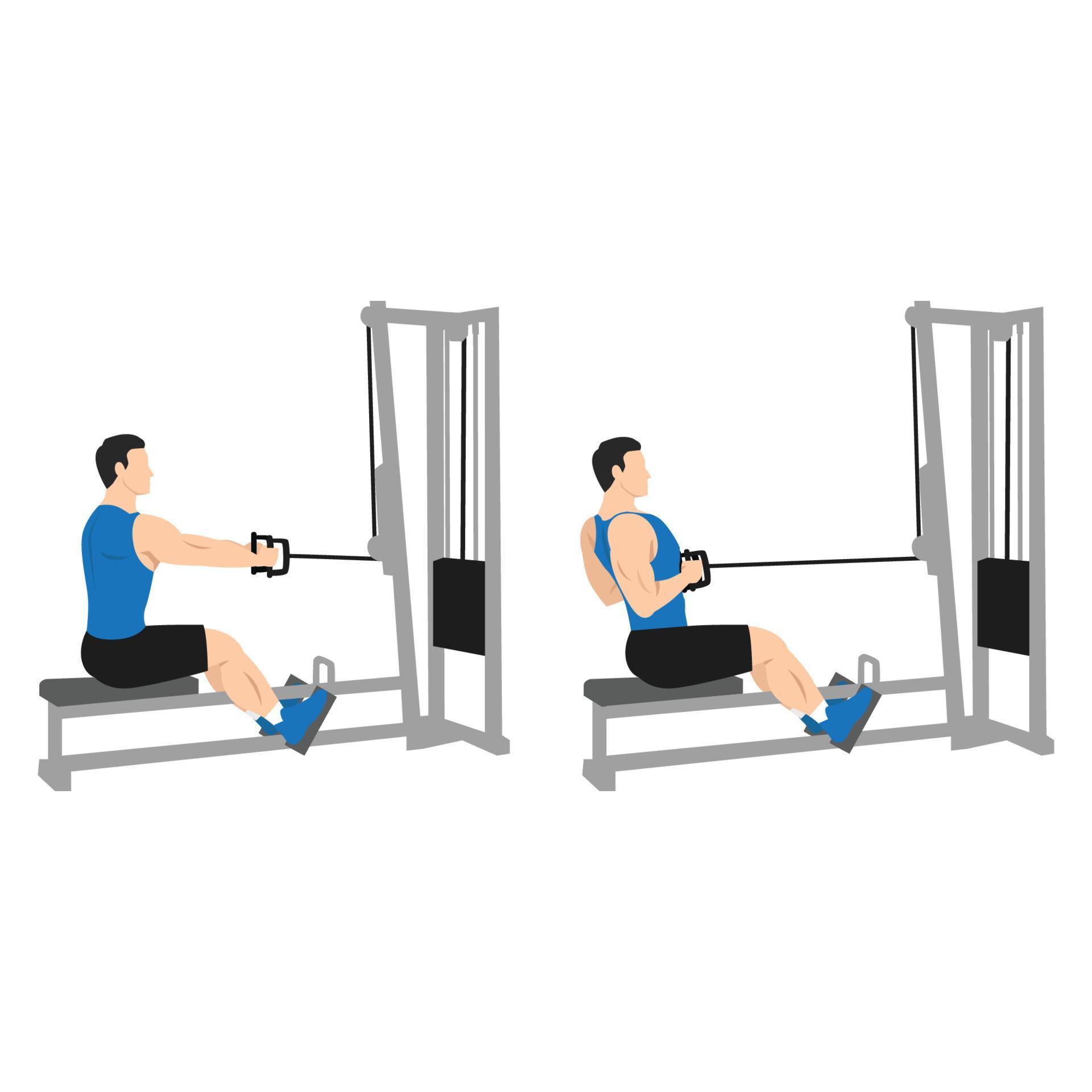 Man doing Seated Low cable back rows exercise. Flat vector illustration