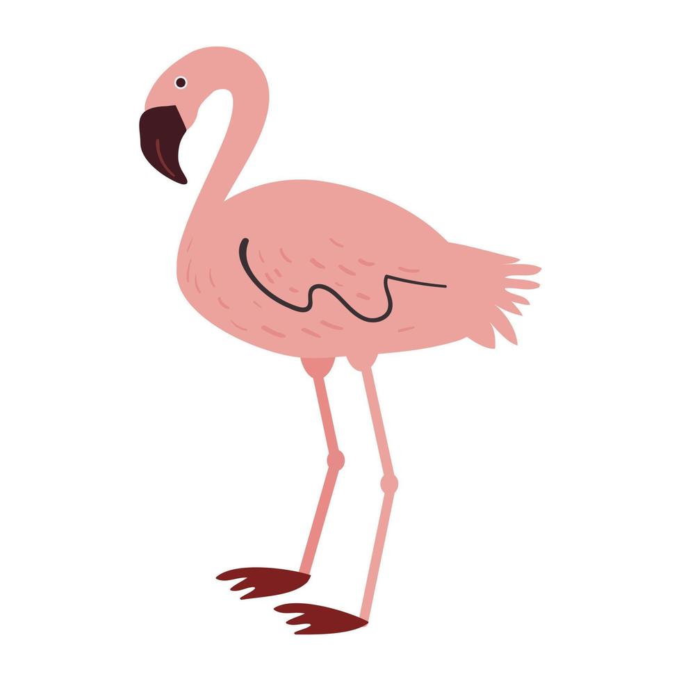 linda ilustración de dibujos animados de flamencos en un estilo plano e ingenuo vector