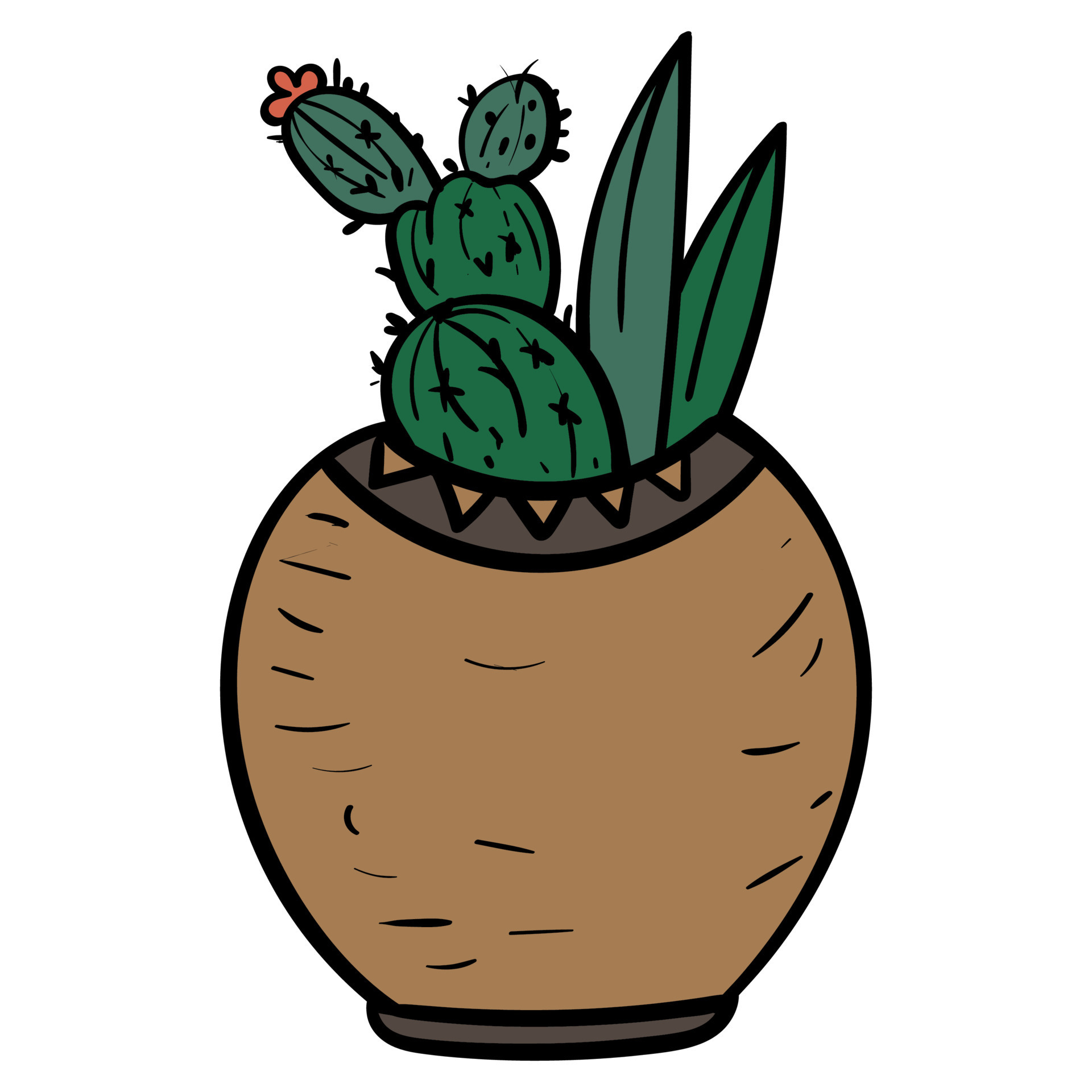 Succulent home green plant 8057123 Vector Art at Vecteezy