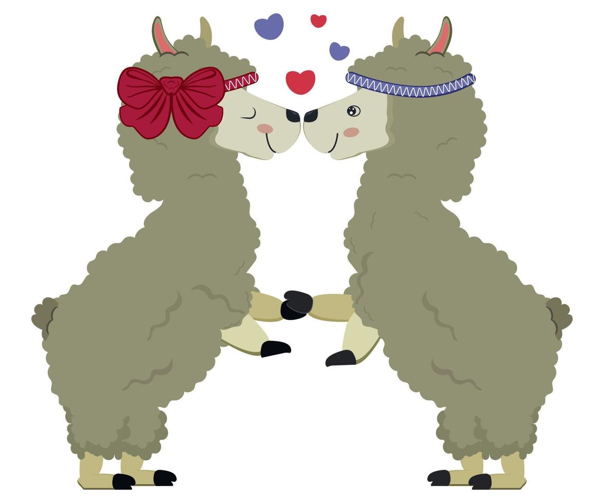 Llama couple in love vector