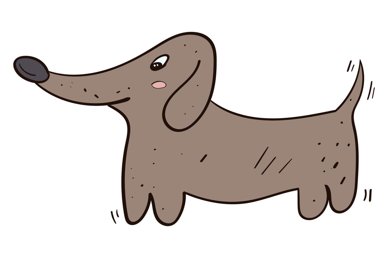 Cute dachshund dog vector