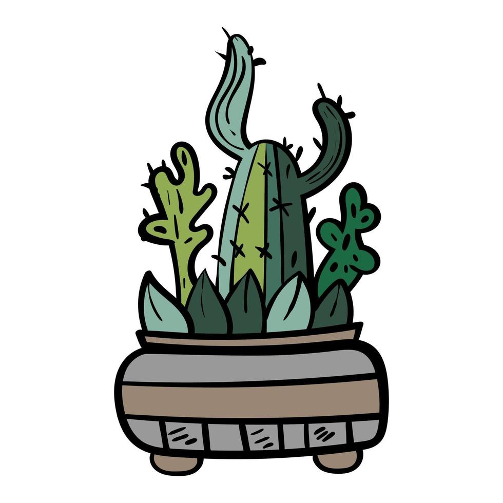 Wild cactus green vector