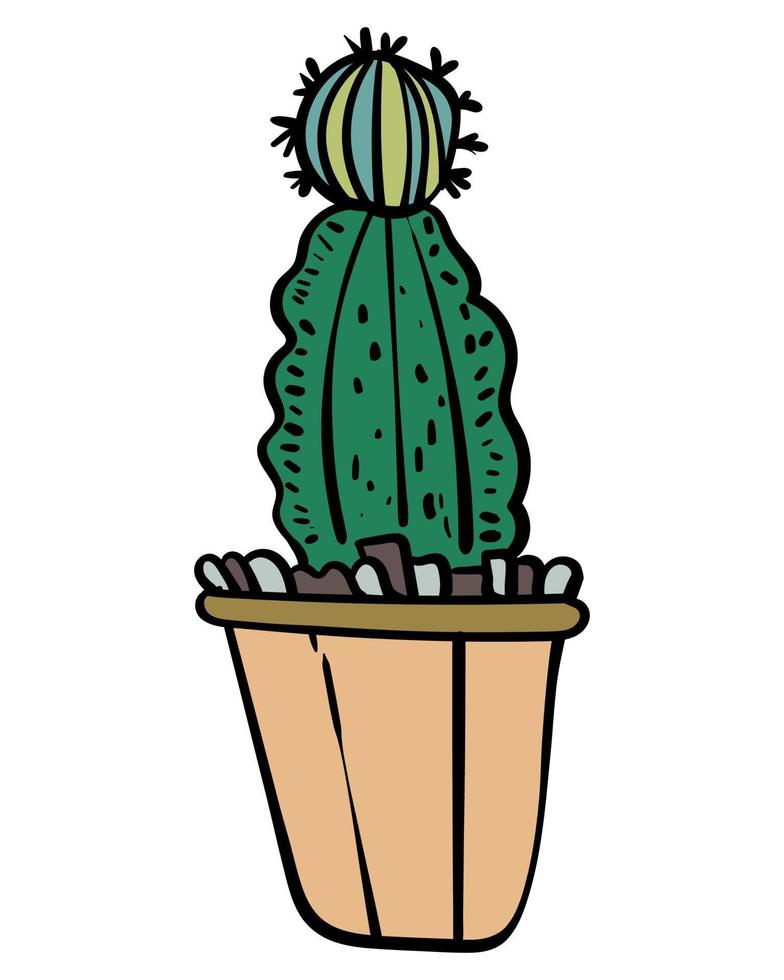 Cactus succulent cartoon illustration vector