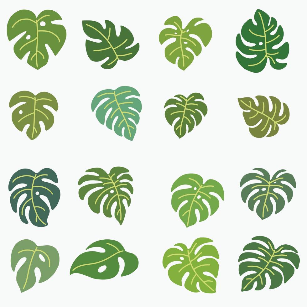 boho monstera leaf dibujo a mano alzada diseño plano. vector