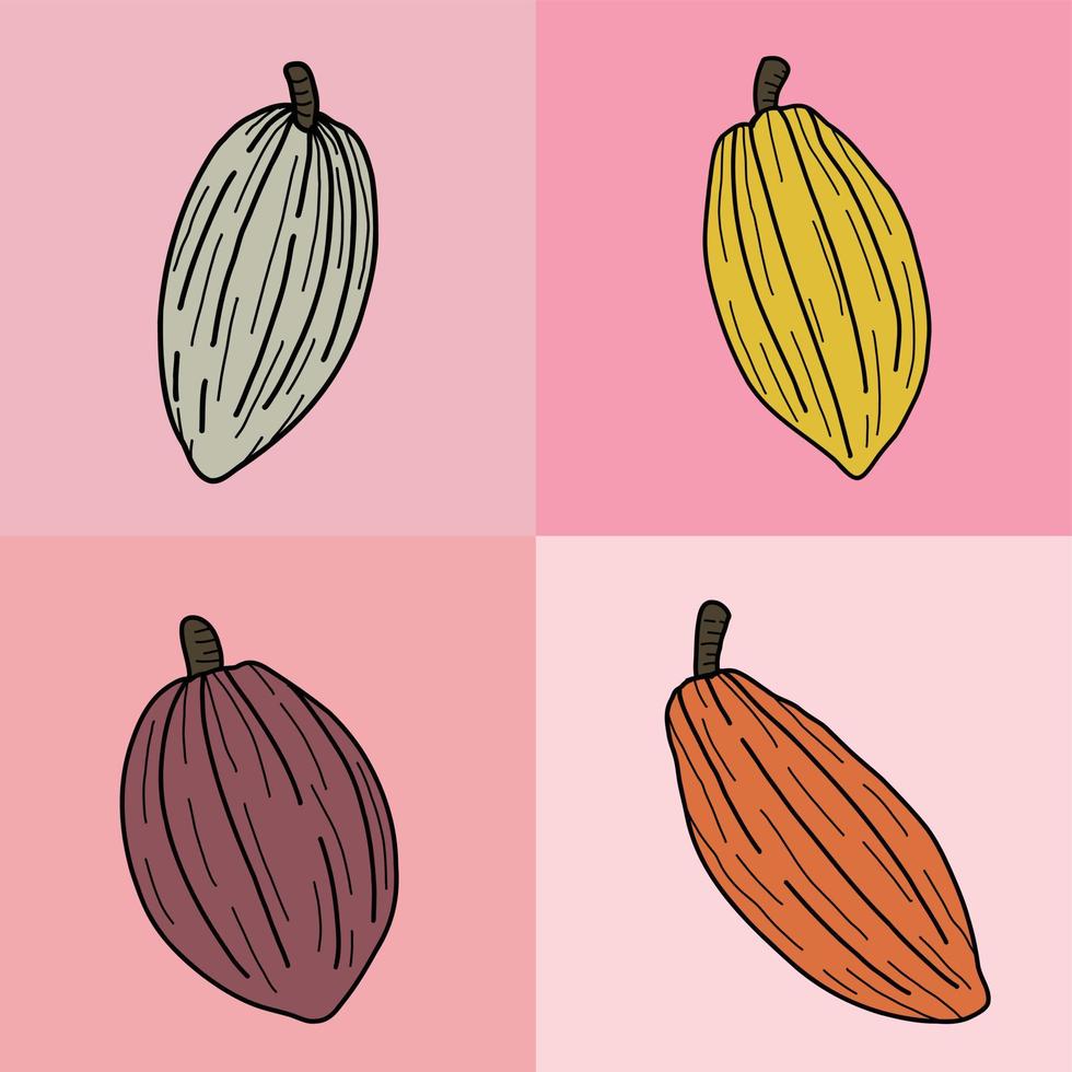 vainas de cacao que es materia prima para el dibujo a mano alzada de chocolate. vector