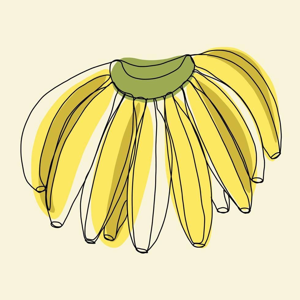 diseño plano de dibujo de línea continua a mano alzada de fruta de plátano simple. vector