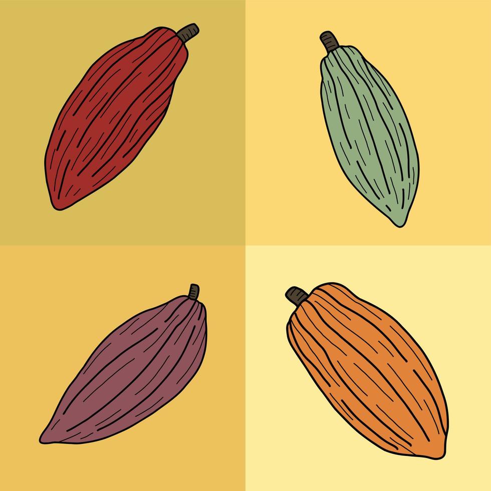 vainas de cacao que es materia prima para el dibujo a mano alzada de chocolate. vector