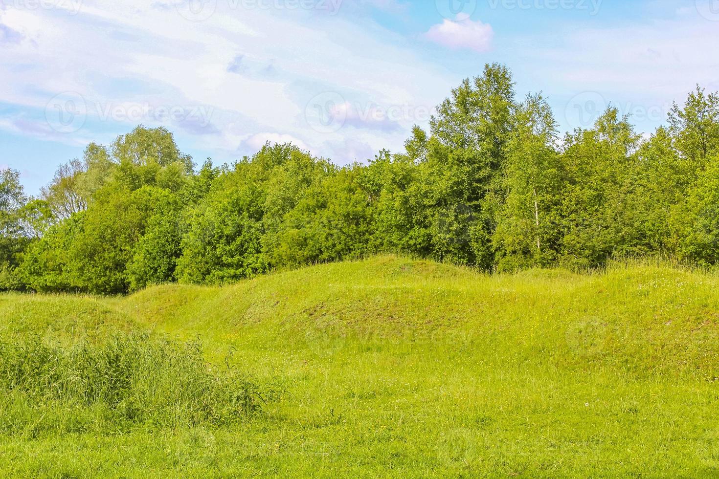 Blue sky with beautiful natural forest landscape panorama Germany. photo