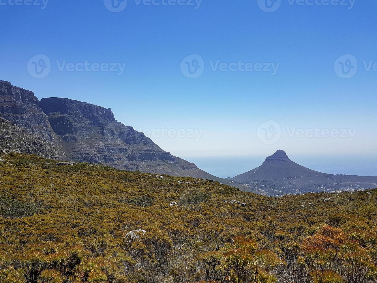 Table Mountain National Park and Lions head in Cape Town. photo