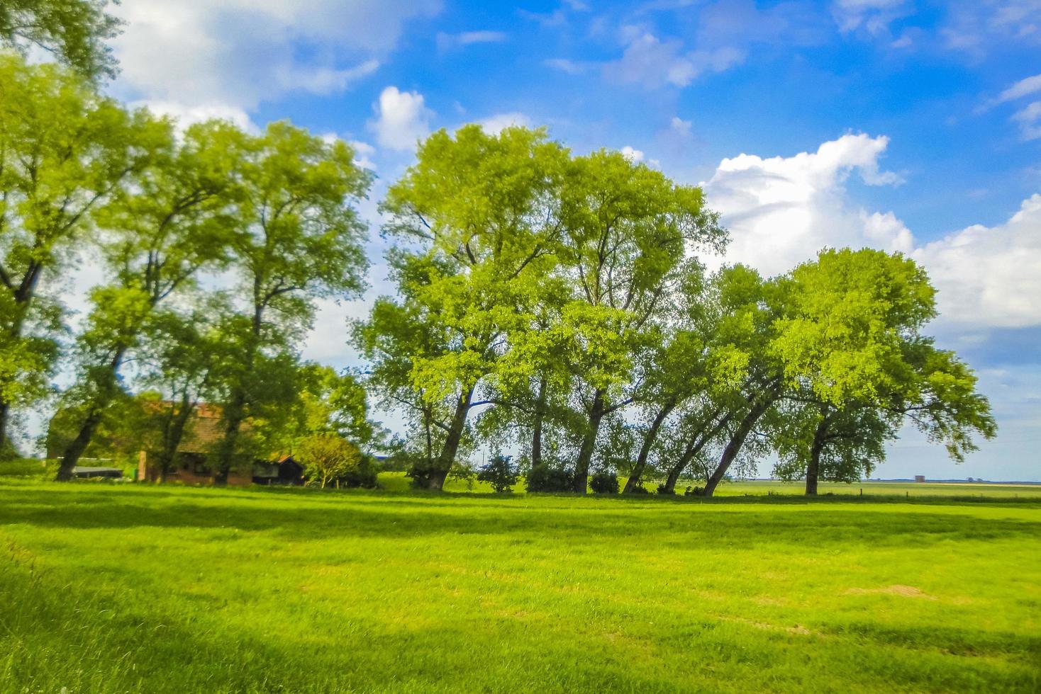 North German agricultural nature landscape panorama Germany. photo