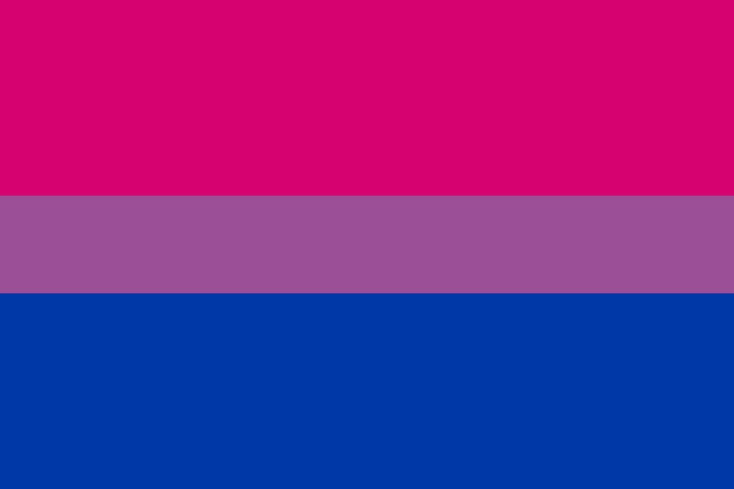Bisexual Pride flag vector