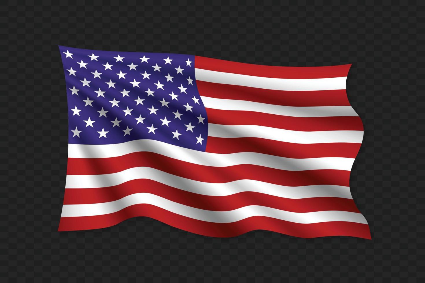 3D Waving Flag vector