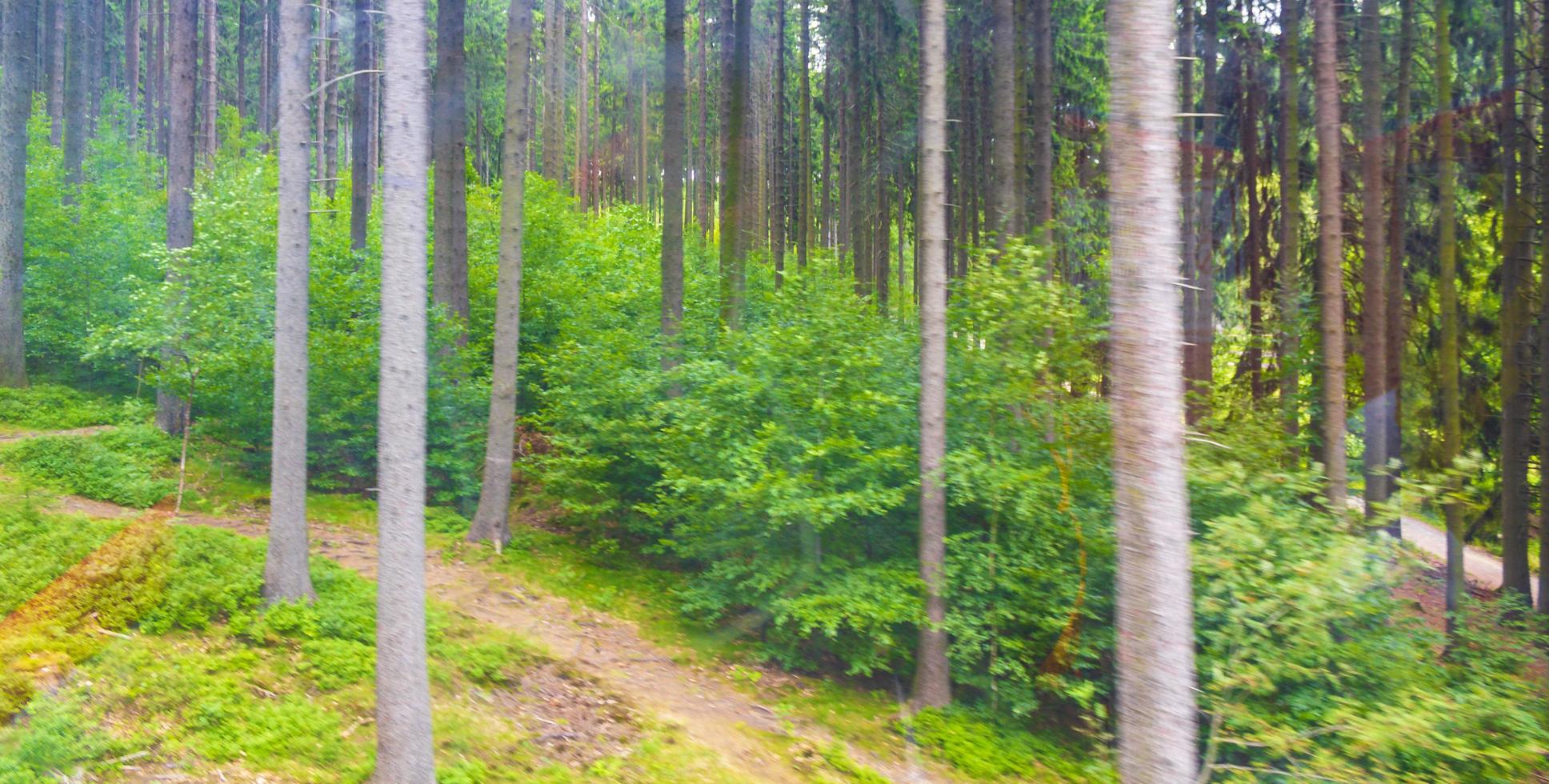 Wurmberg ride with gondola cable car railway panorama Harz Germany. photo