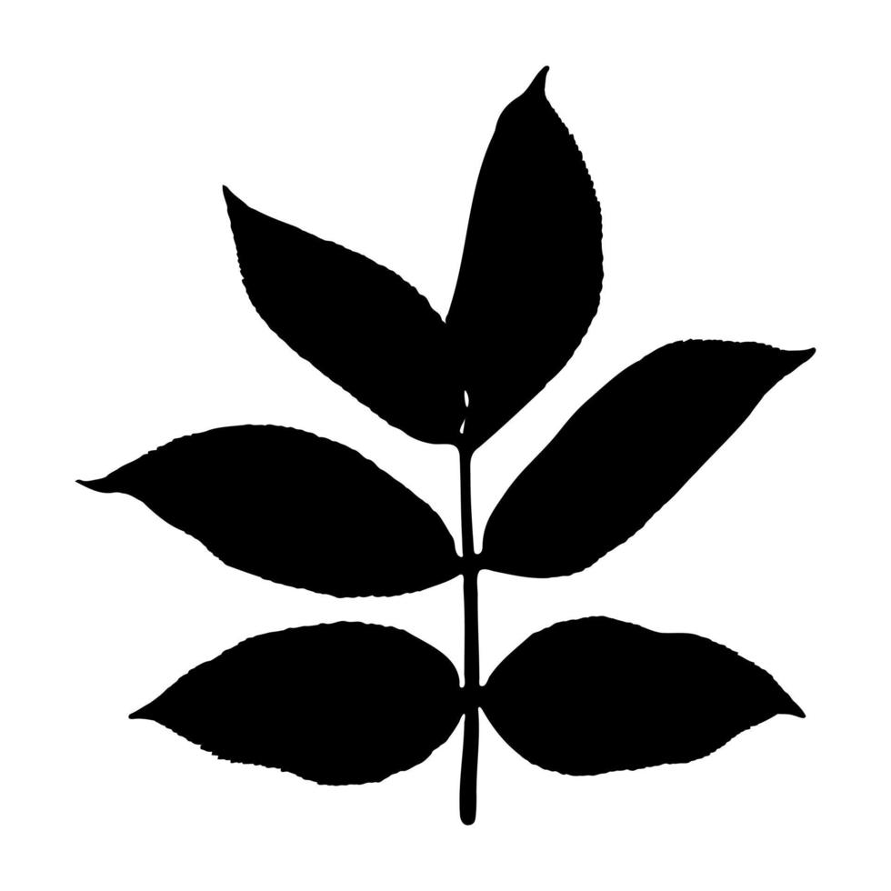 The contour of a sprig of a tree or grass with leaves. Black outline of a shrub branch plant isolated on a white background. Vector illustration.