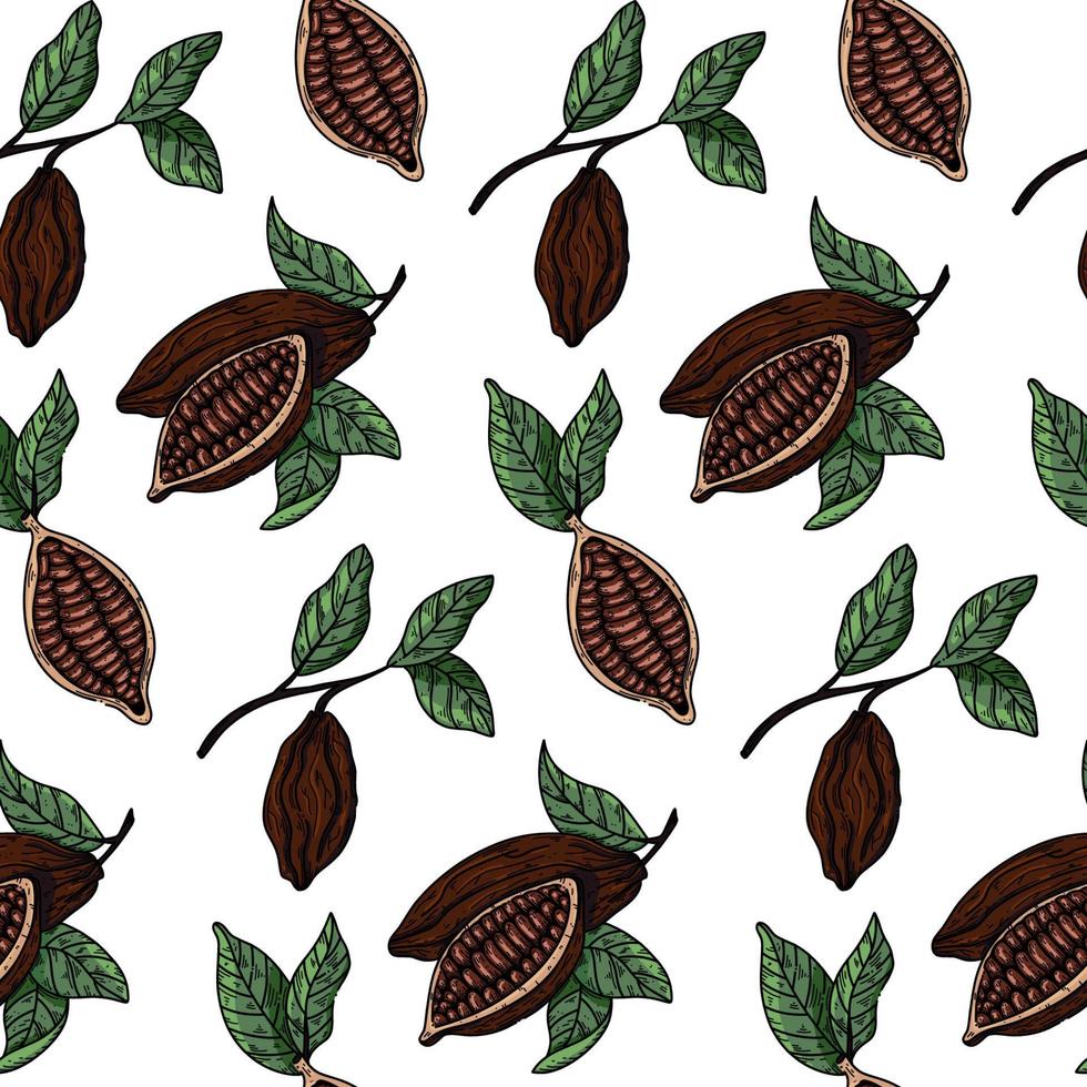 Hand drawn chocolate cocoa beans vector seamless pattern. Chocolate design hand drawn background on white background in sketch style