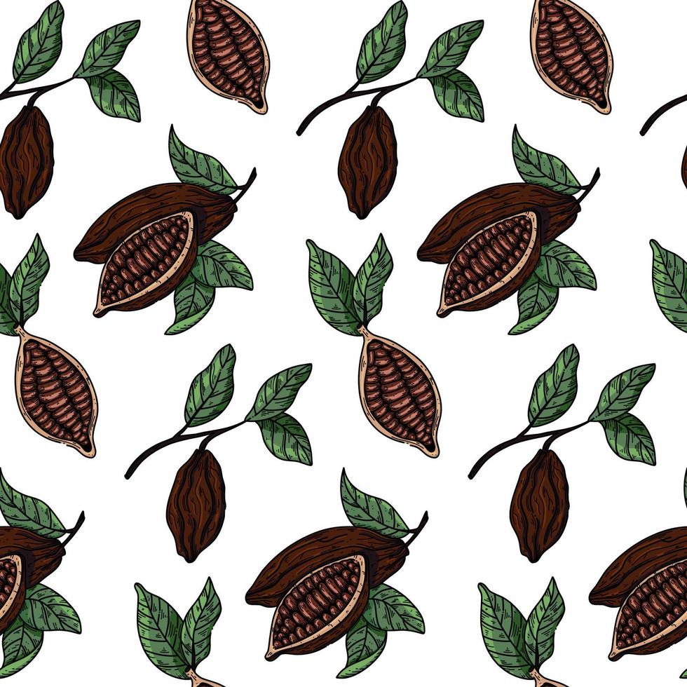 Hand drawn chocolate cocoa beans vector seamless pattern. Chocolate design hand drawn background on white background in sketch style