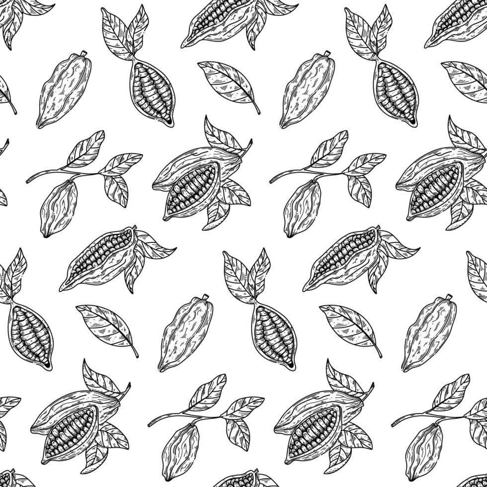 Cocoa branch vector seamless pattern. Chocolate design hand drawn background on white background in sketch style