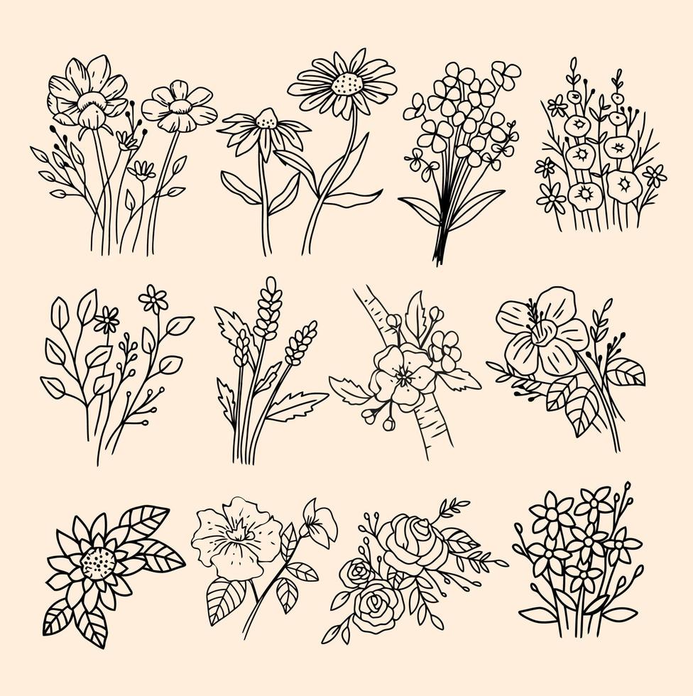 A SET OF HAND DRAWN PLANT vector
