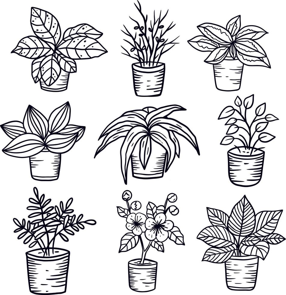 a set of homeplant vector