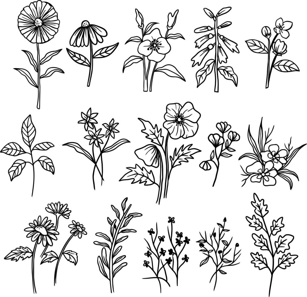a set of hand drawn isolated plants vector