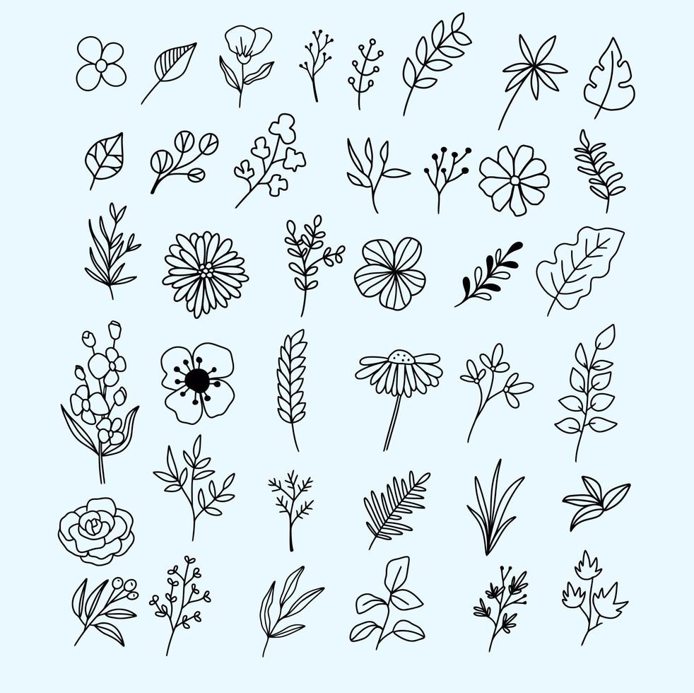 un conjunto de plantas aisladas dibujadas a mano vector