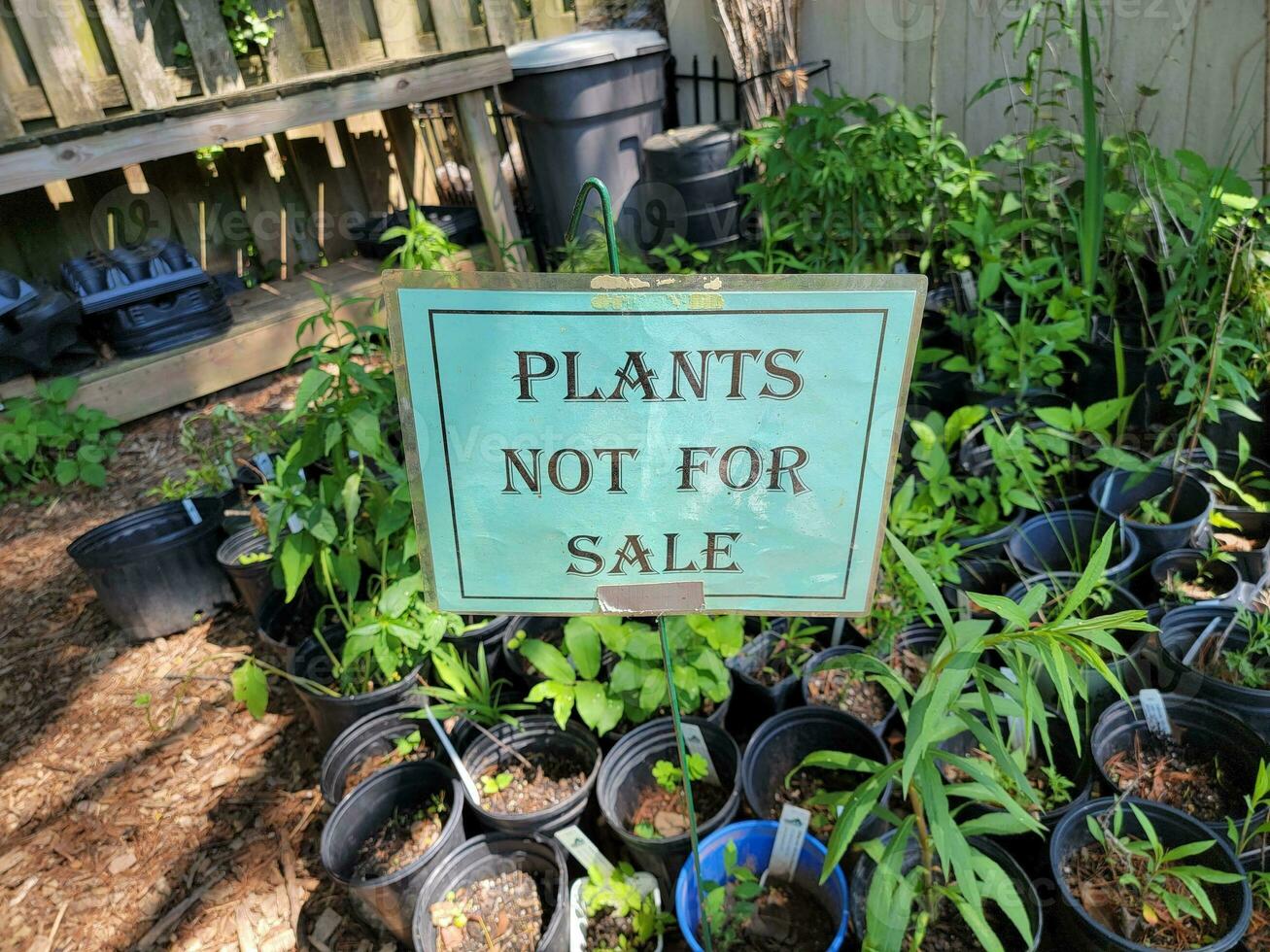 Señal de plantas no a la venta al aire libre con plantas y flora. foto