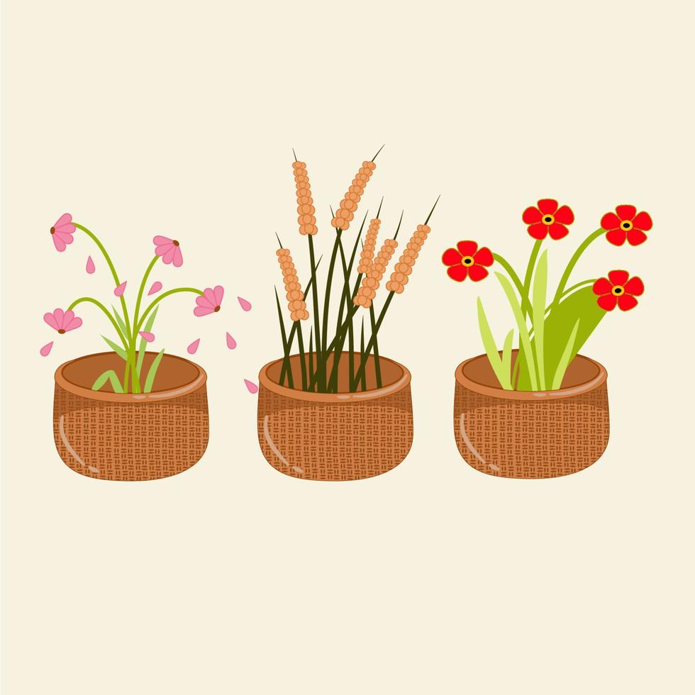 Set of collection flowers in a pot vector