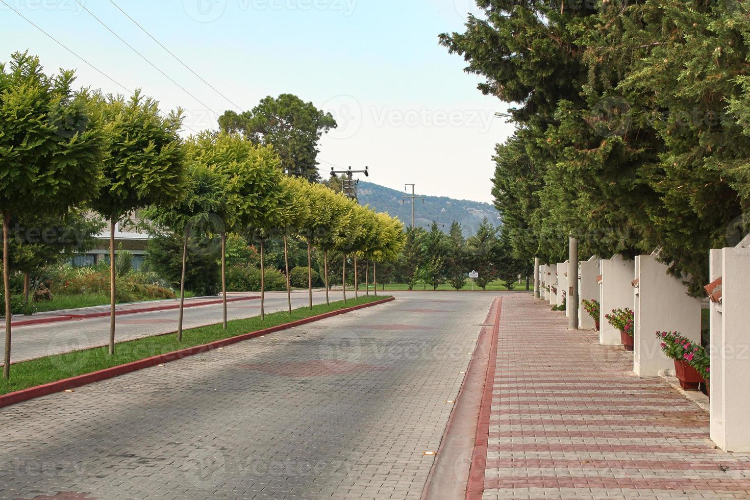 Empty road entrance to the hotel among tropical trees. Work ban due to the pandemic. photo