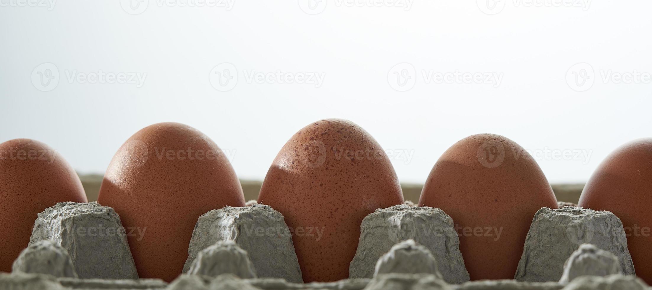 Eggs in a protective container on white background. photo