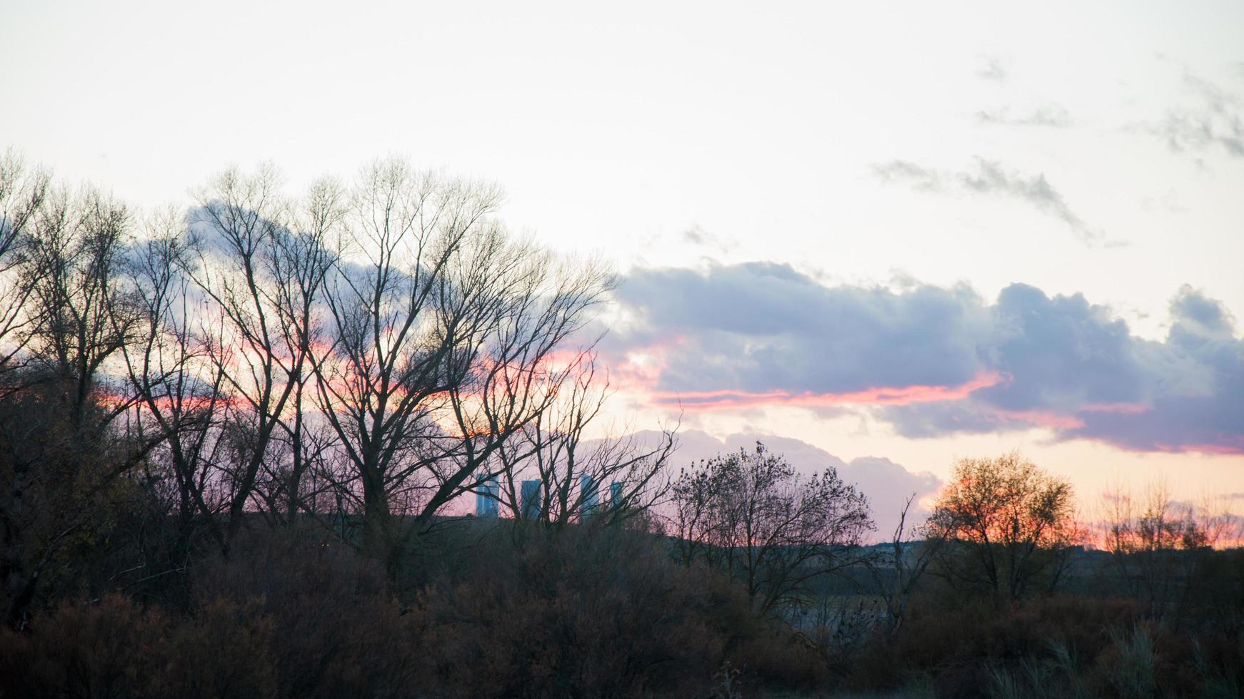 hermoso paisaje al atardecer con silueta de árboles. torres de madrid en la distancia. foto