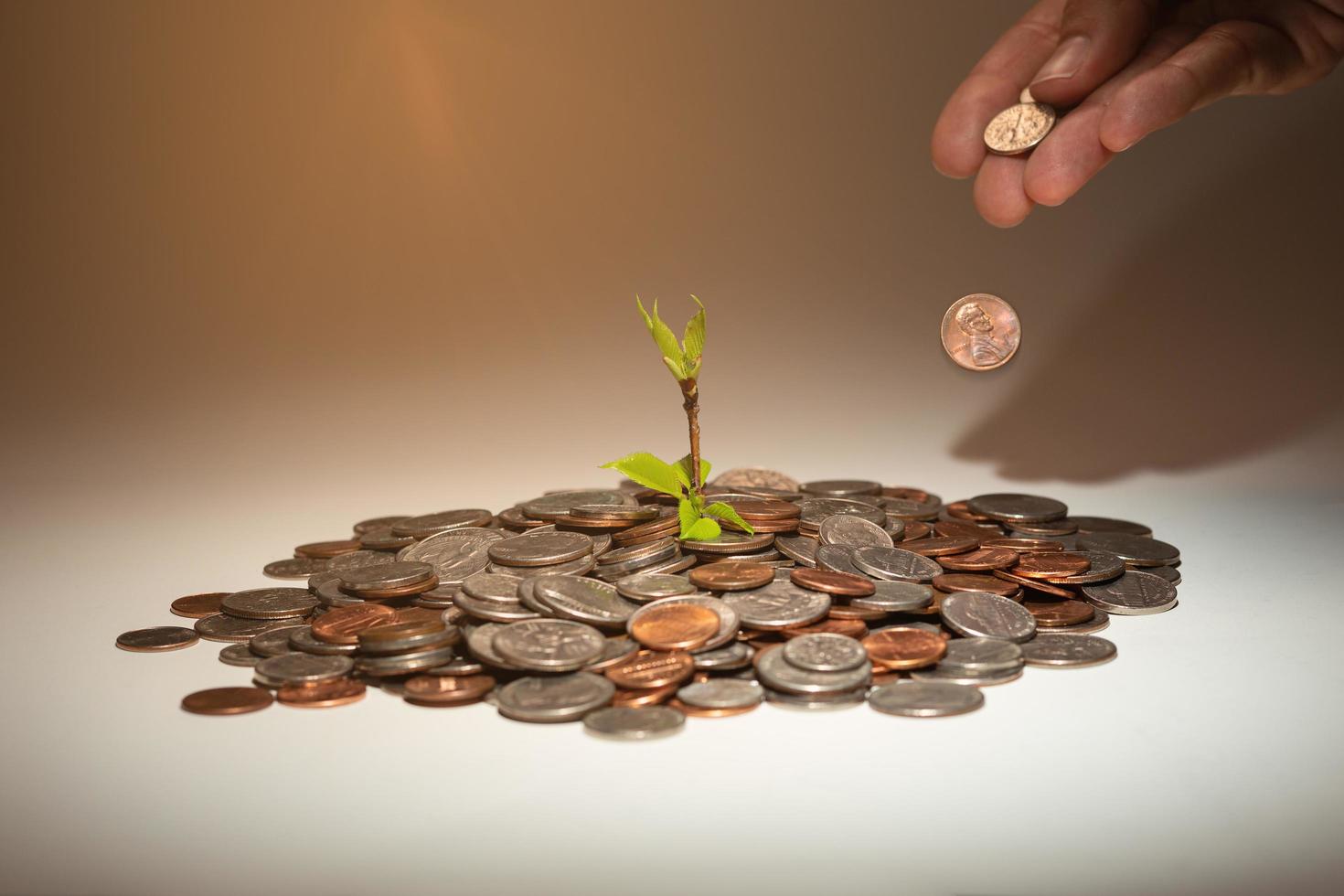 planta que crece de monedas foto