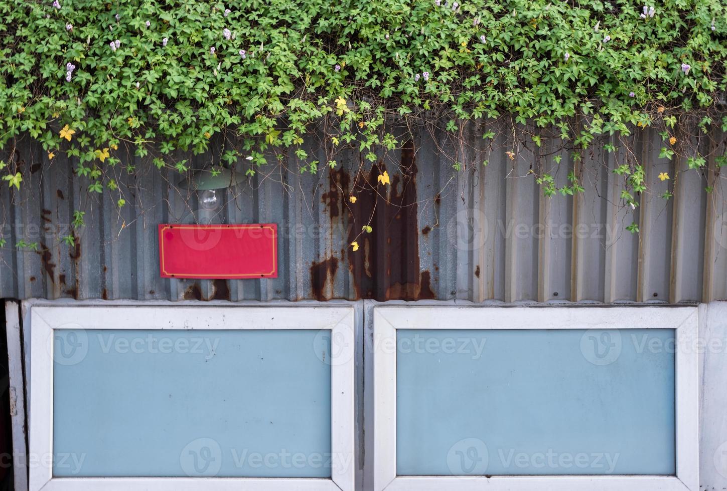 Facade white windows with blank signboard and plant cover on zinc wall photo