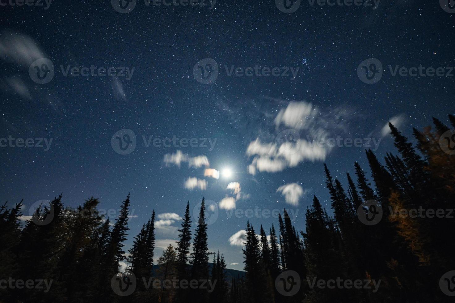 The moon with starry in blue sky on pine forest photo