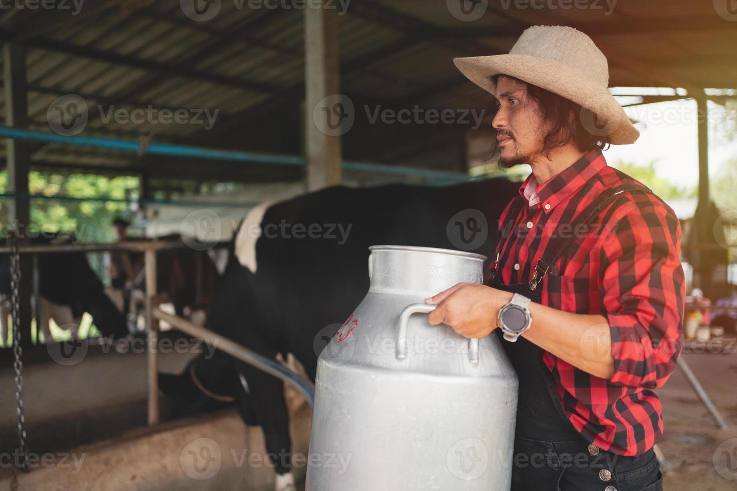 granjero que lleva un barril de leche pasa por el establo de vacas lecheras, granja de vacas, pequeña empresa foto