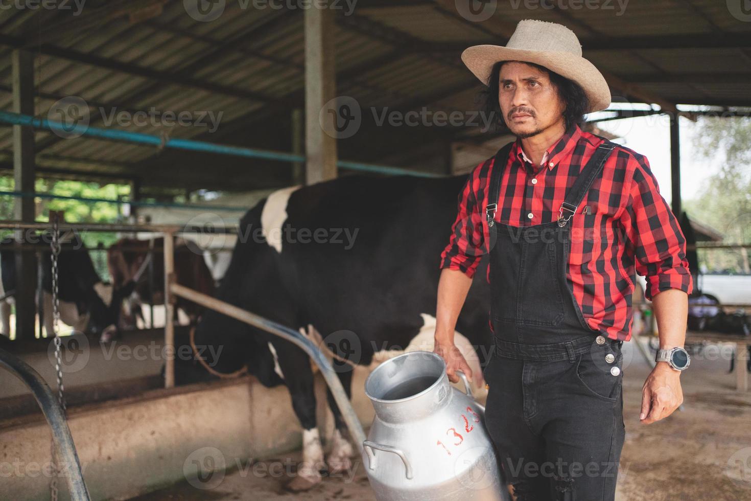 farmer carrying a barrel of milk walks past the dairy cowshed.,cows farm, small business photo