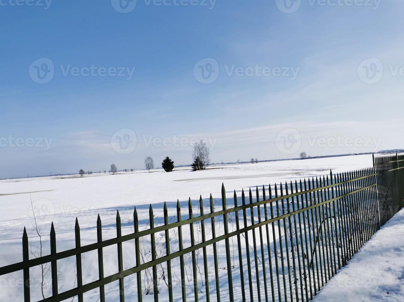 Spring in Pavlovsky Park white snow and cold trees photo